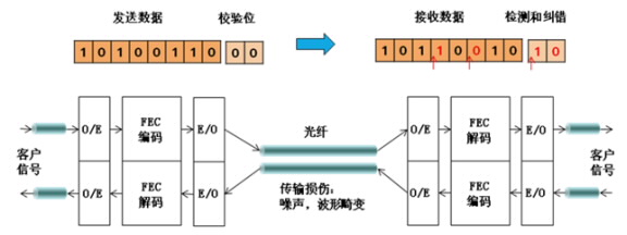 FEC在光通信中的位置